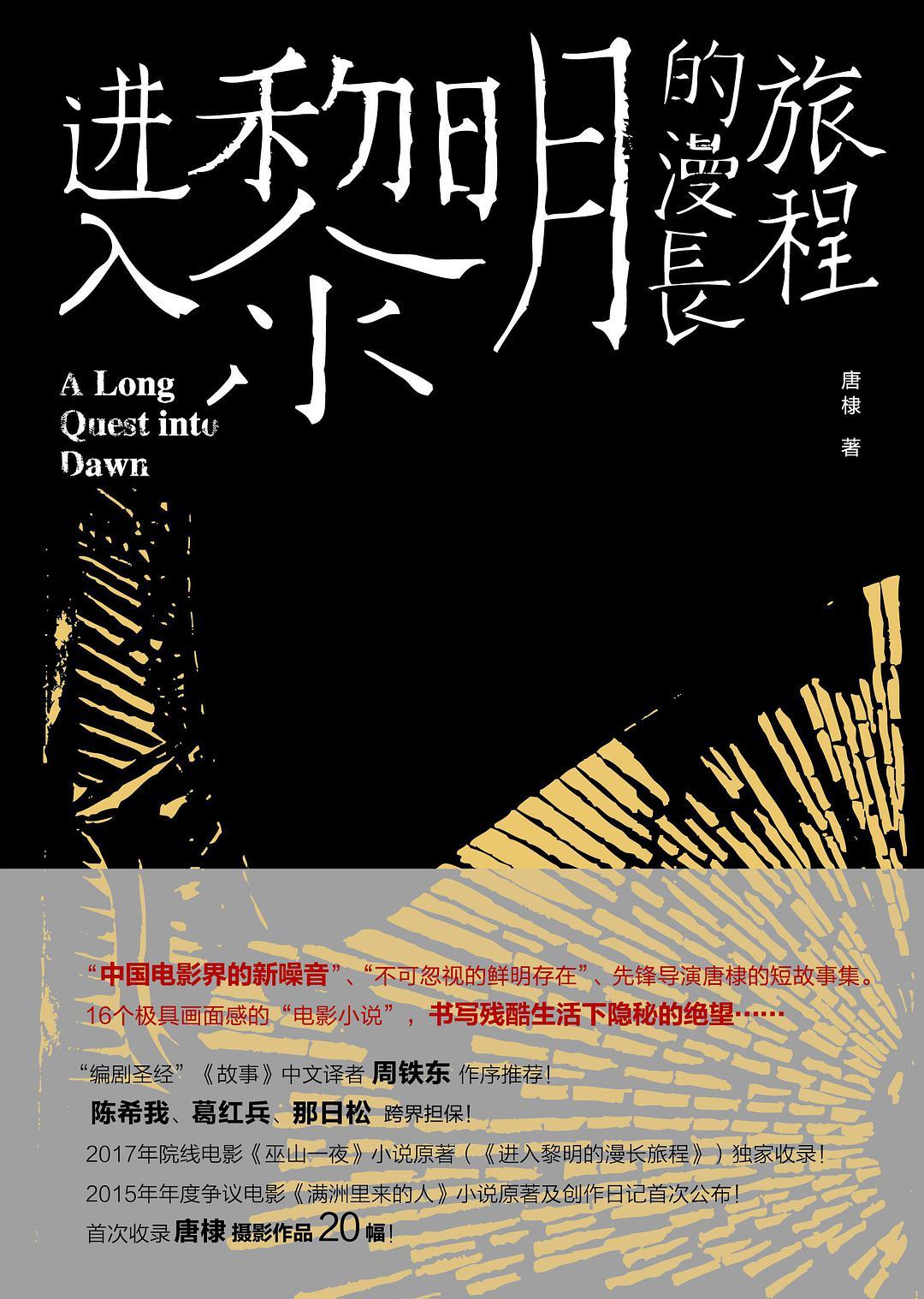 进入黎明的漫长旅程 唐棣