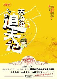 苏染染追夫记介绍