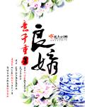 公子为我择良婿