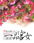 一品宫女容楚楚