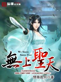 无上圣天有声书