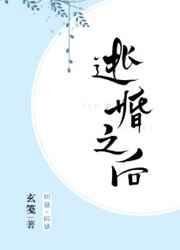 逃婚之后 玄笺晋江