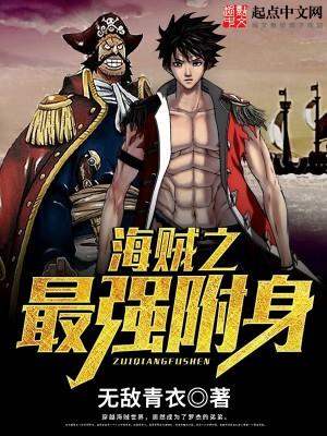海贼最强附身txt