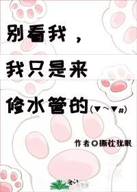 我只是来修水管的!(无限)