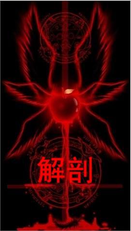 解剖学是哪个专业
