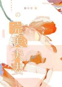 完美夫妻短剧免费全集