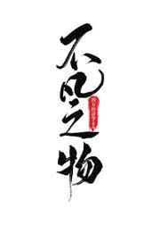 不凡之物在线阅读
