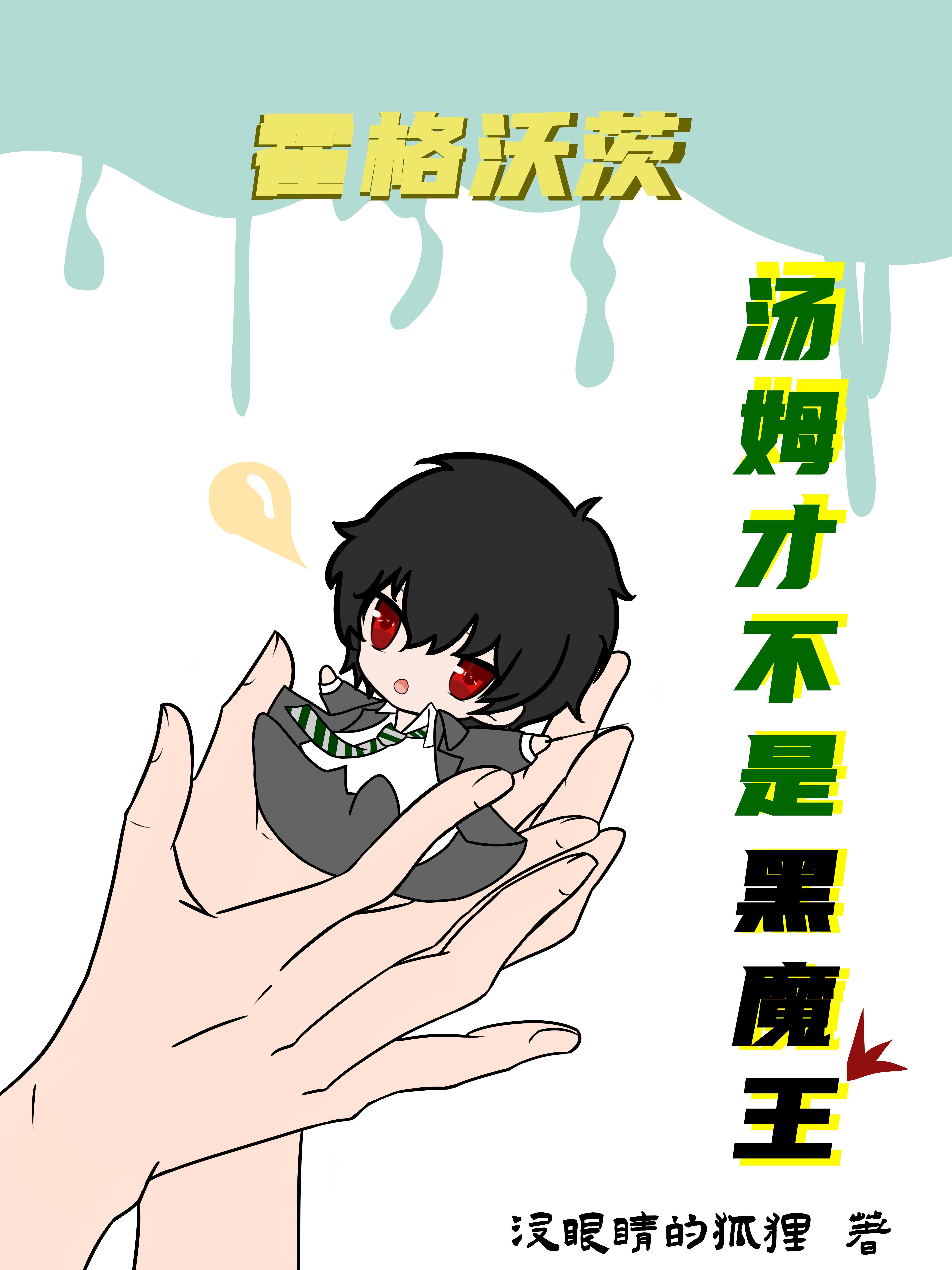 哈利波特中汤姆是谁