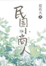 民国小商人TXT资源