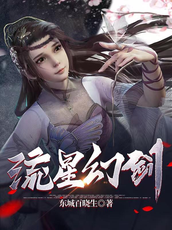 流星幻剑动漫简介
