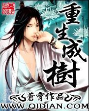 重生成树 苍霄