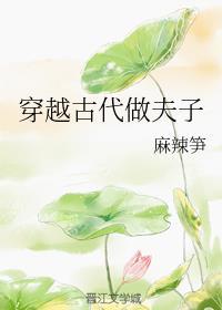 穿越古代做夫子主角什么时候在一起的