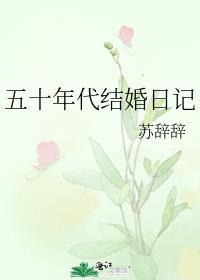 五十年代结婚日记 苏辞辞