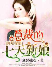 总裁的七天七夜