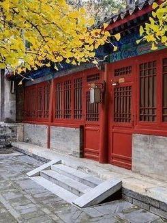 何雨柱是谁演的