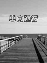 单向通行by金刚圈免费阅读
