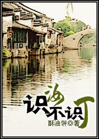 识汝不识丁 酥油饼