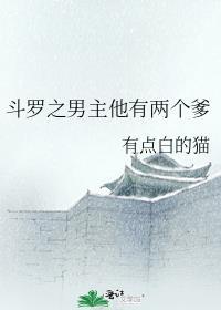 斗罗之男主他有两个爹在线阅读