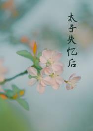 丞相夫人失忆后免费阅读无弹窗