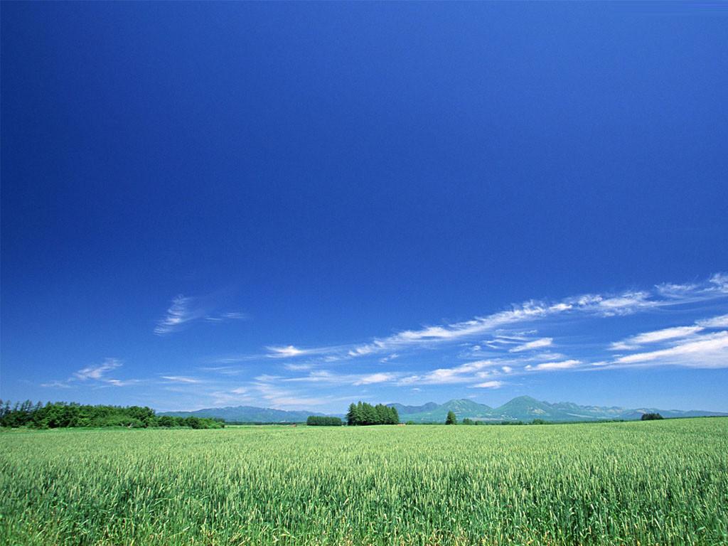 丰惠东风水库