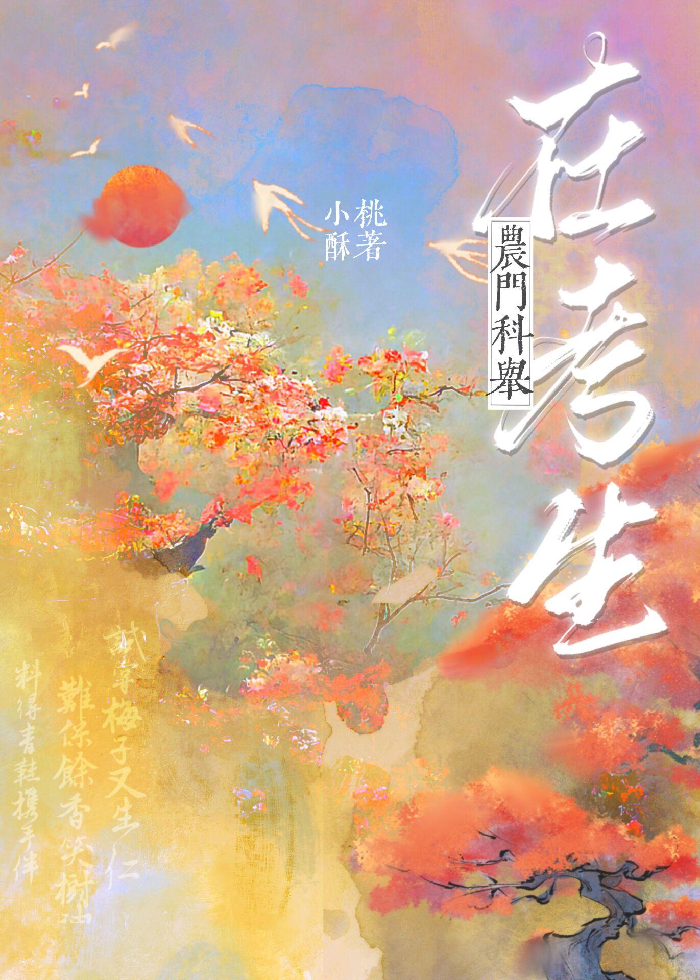 寒门科举入仕记免费阅读
