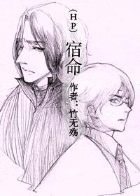 hp宿命传说