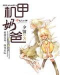 机甲奶爸txt全本