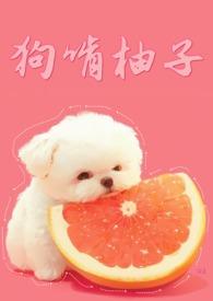 狗啃柚子 在线阅读