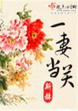 一妻之二夫主现代言情