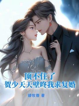 贺少追妻