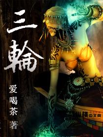 三轮电动车挡风遮雨棚