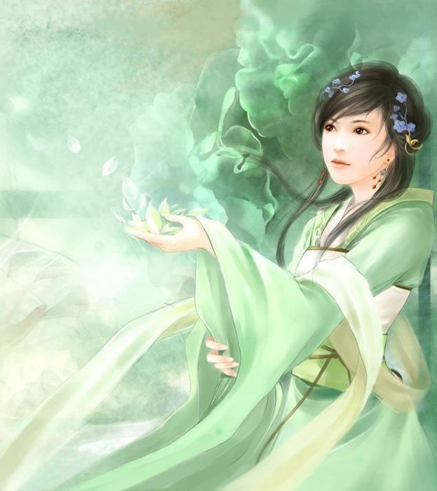 木槿流年的下一句