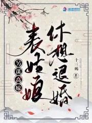 另谋高嫁表姑娘休想退婚简介