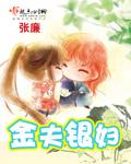 金夫银妇TXT