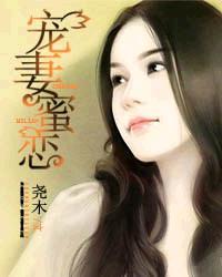 宠妻亲密有j 全文阅读