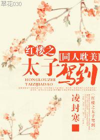 红楼之太子驾到 凌封寒