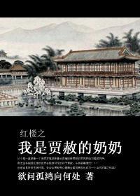 红楼之我是贾赫