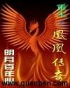 重生之凤凰传奇免费阅读
