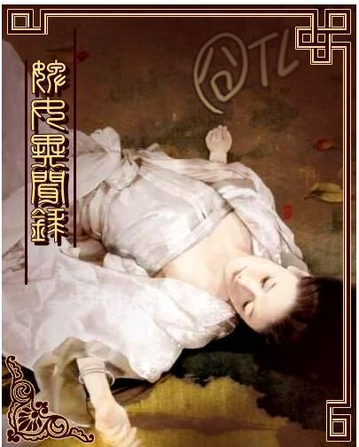 婢女异闻录1的情节简介