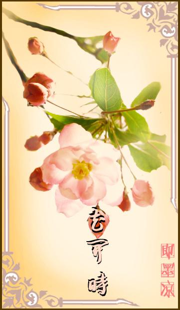 花开时节免费观看