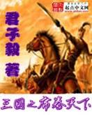三国谋定天下什么时候出的