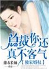 独家婚爱ceo你好毒