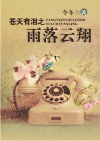 苍天有泪之展云翔