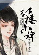 红楼小婢讲的是什么
