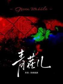 青茬儿TXT