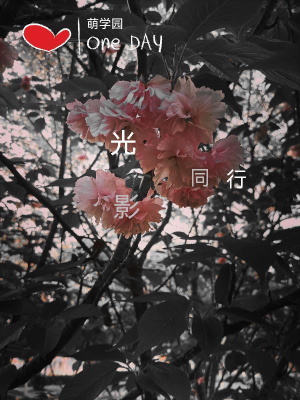 萌学园之光影世界