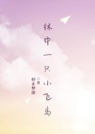 林中一只小飞鸟by停止梦游讲了什么