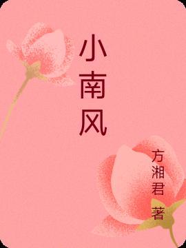 小南风集团