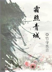 霜照青城晋江