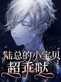 陆总的小宝贝儿又软又甜